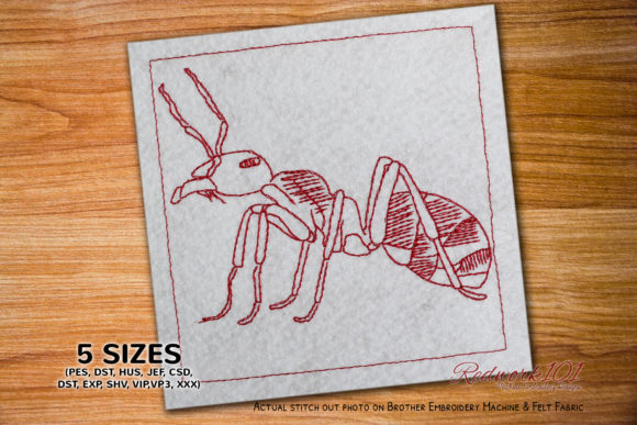 Aggressive Ant: A Designer’s Review for Gifts
