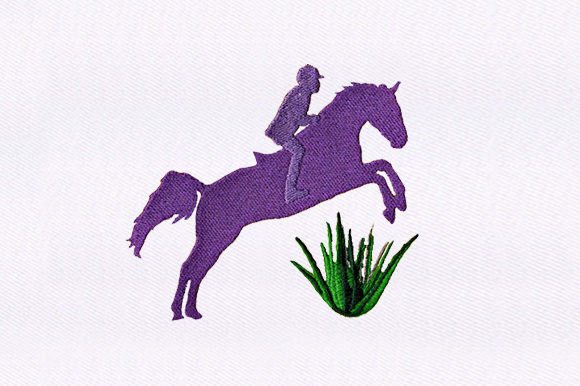 Purple Jockey Horse: A Boutique Sweatshirt Review